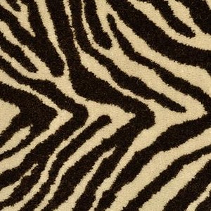 Zebra Plains Zebra